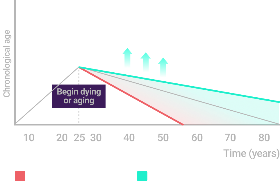 proactive_graph